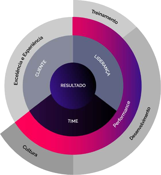 Diagrama do Programa de Negócios e Performance: cliente, liderança e time convergindo para resultado